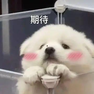 吃瓜群免费聊天记录下载,一场全民参与的娱乐盛宴  第3张 吃瓜群免费聊天记录下载,一场全民参与的娱乐盛宴  第3张
