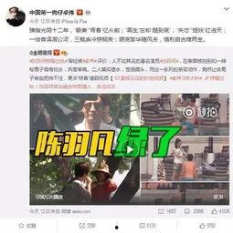 美国发视频爆料犯法吗,视频爆料是否触犯法律?