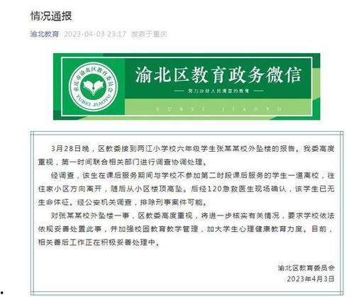 重庆小学爆料案件最新情况,真相逐步浮出水面  第2张 重庆小学爆料案件最新情况,真相逐步浮出水面  第2张