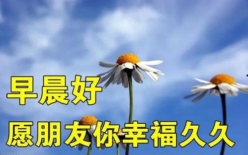 爆料早安问候语图片最新,网红爆款背后的故事  第2张 爆料早安问候语图片最新,网红爆款背后的故事  第2张