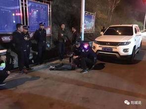 重庆停车爆料事件视频,视频揭露惊人真相,引发社会热议