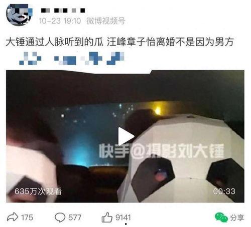 大锤爆料最新消息视频,揭秘视频背后的惊人真相  第3张 大锤爆料最新消息视频,揭秘视频背后的惊人真相  第3张