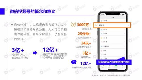 云南网红吃瓜视频下载免费,免费下载，揭秘网红幕后生活  第3张